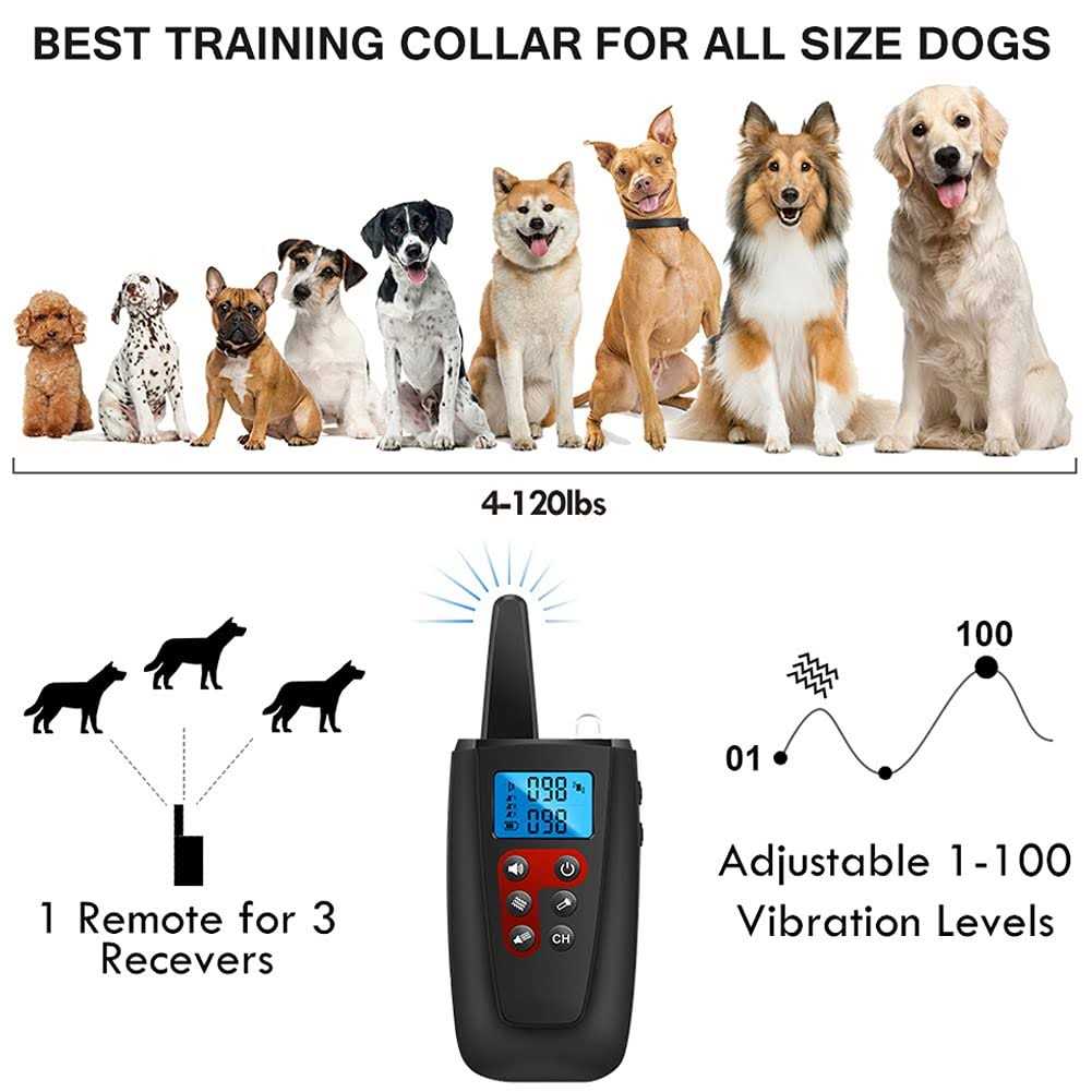 Dog Training Collar with Remote Y525466