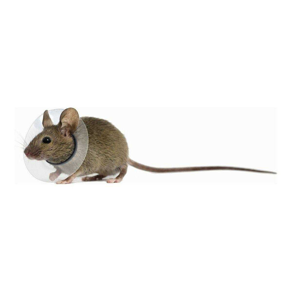 Collar Rodents Pet Supplies K521