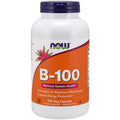 B-100 250vc K727494