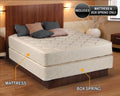 Full XL Mattress and Box Spring Set E39607