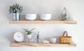 Wormy Maple Floating Accent Shelves, Set of 2 V55845