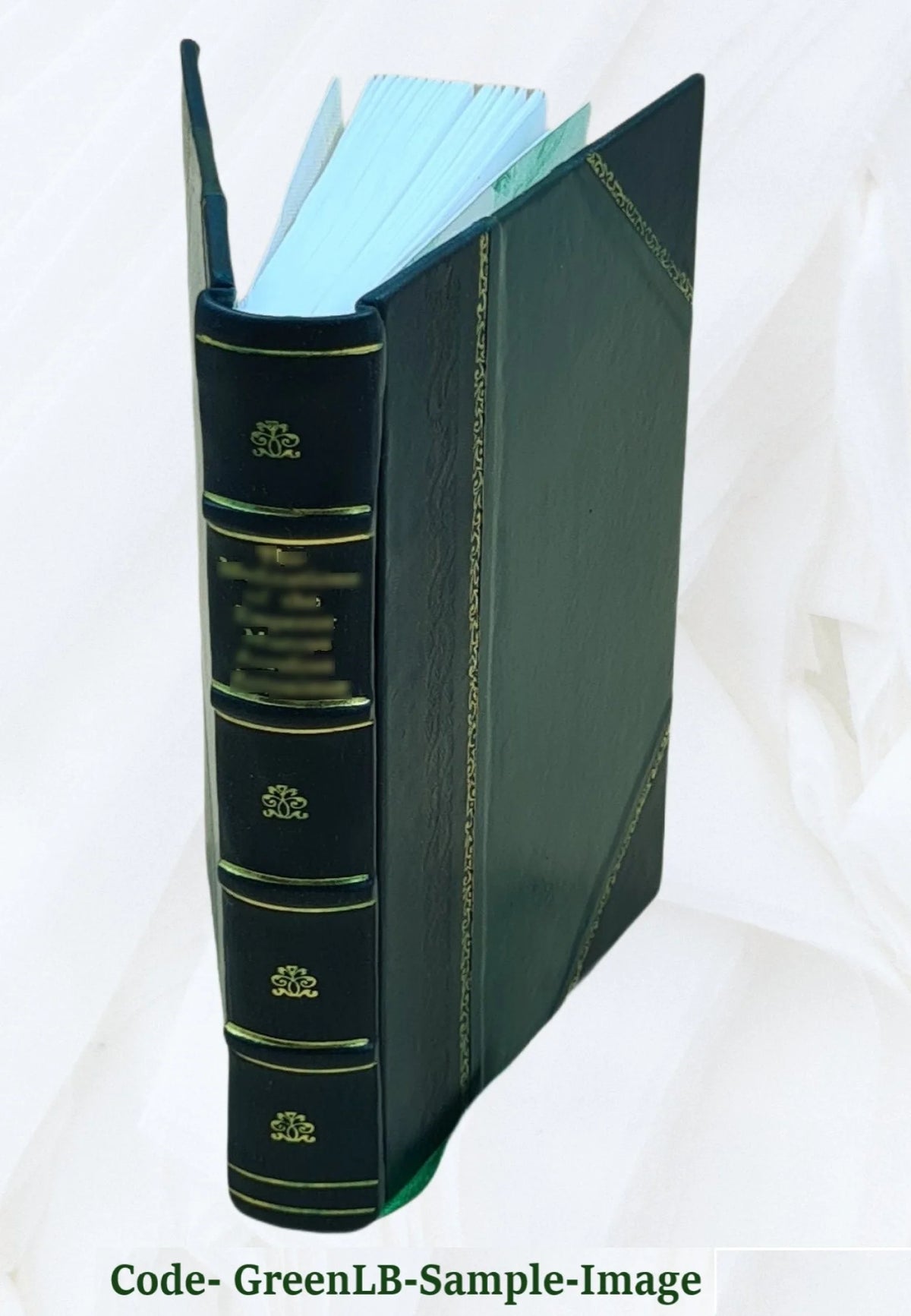 Leather Bound Book P177065