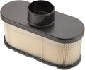 Air Filter Pack of 2 T8913