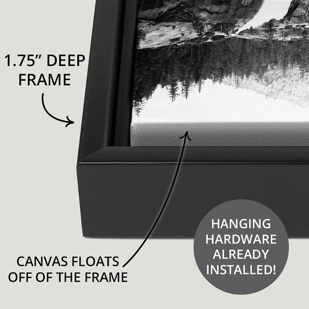 Black Float Frame Canvas Art R9785