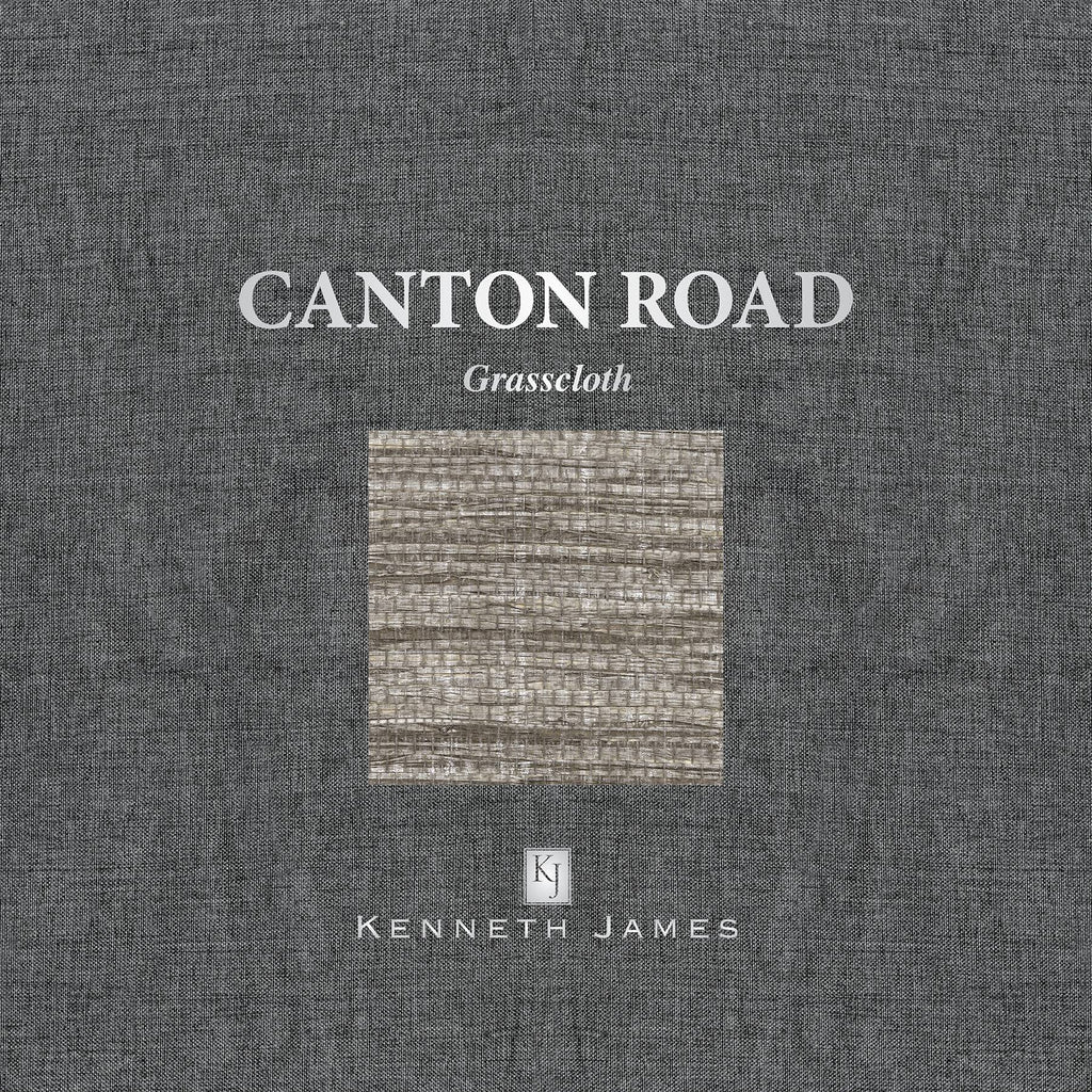 Silver Grasscloth Wallpaper M77991