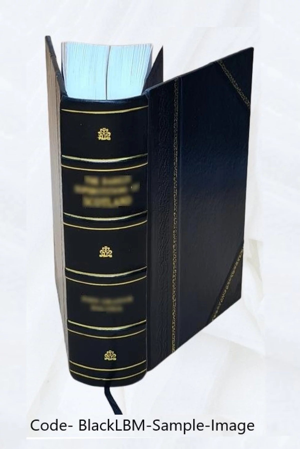 Semiconductor and Tube Electronics Leather Bound F719