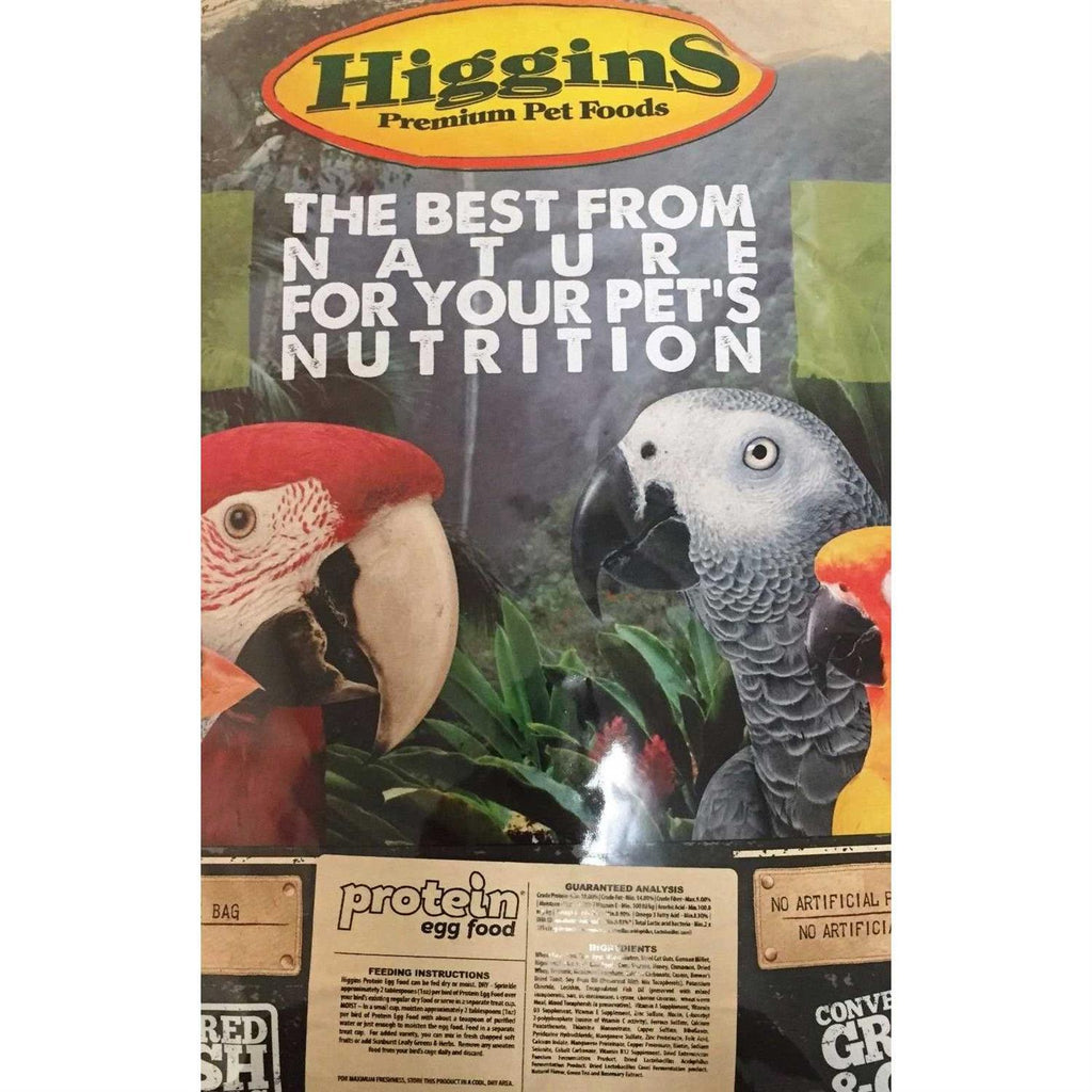 Protein Egg Food S5019