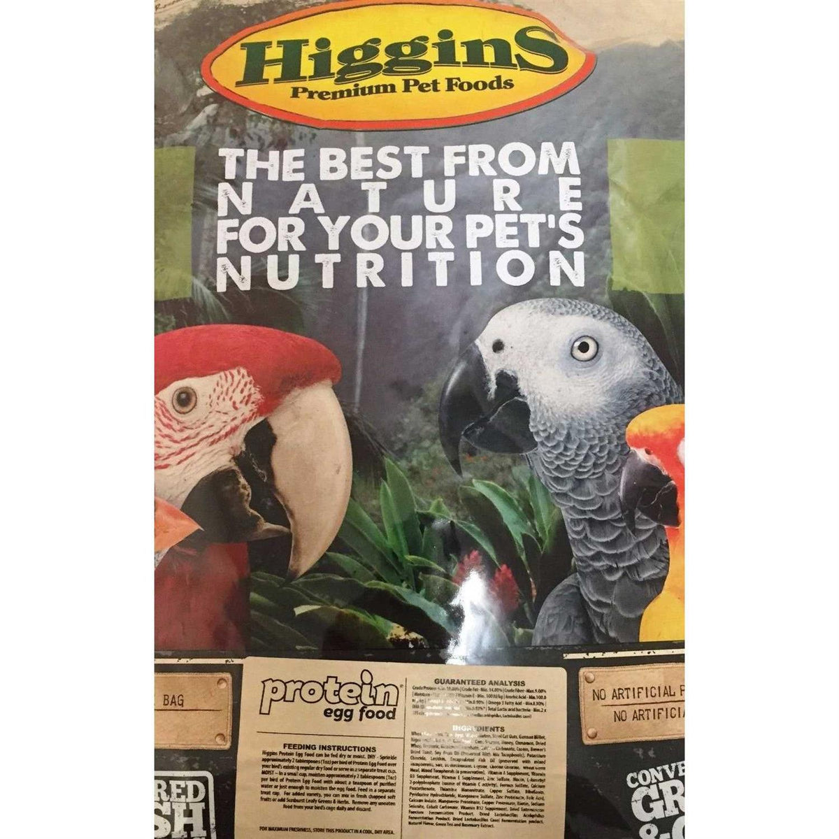 Protein Egg Food S5019