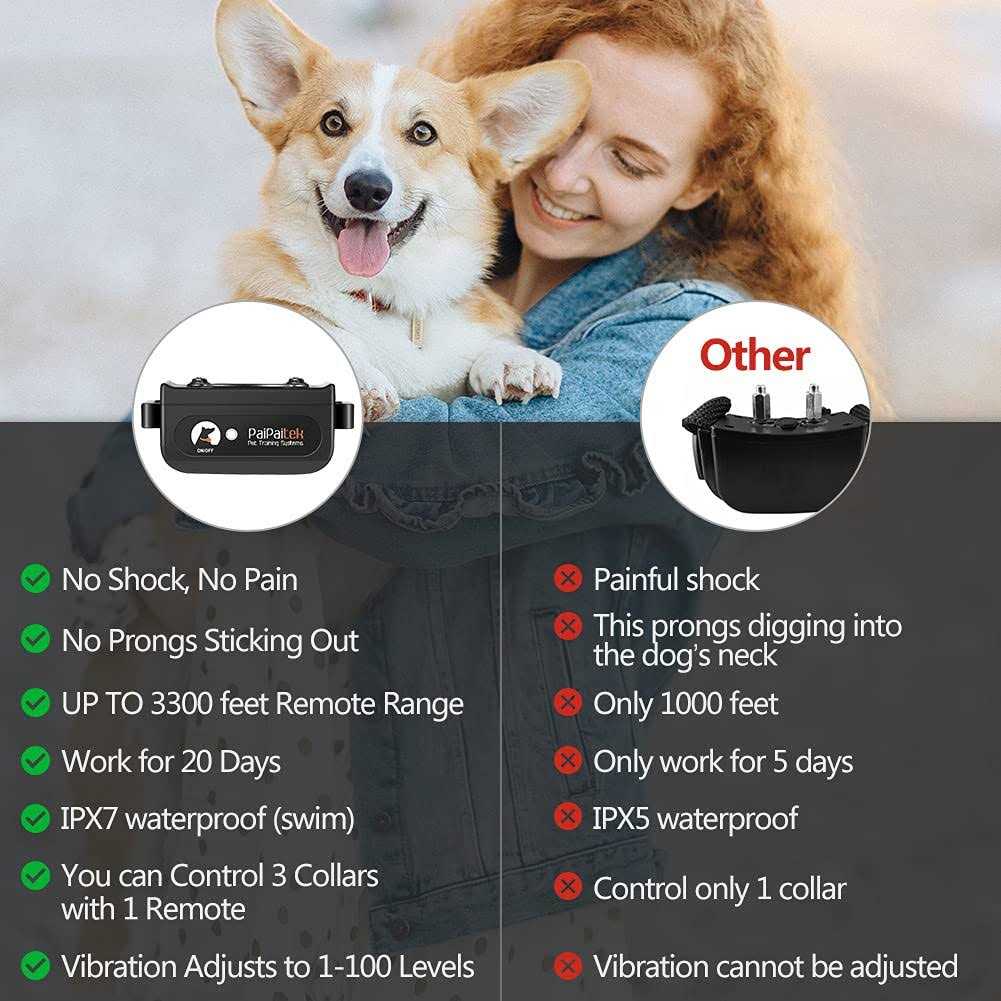 Dog Training Collar with Remote Y525466