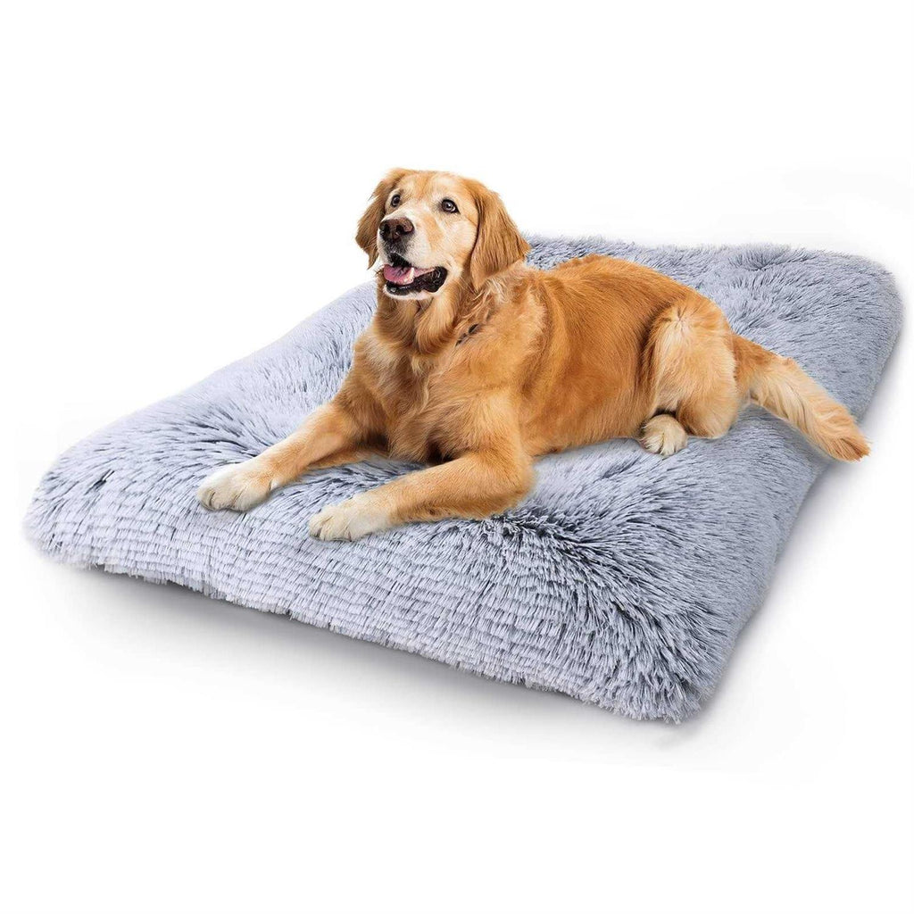 Washable Dog Bed P7982