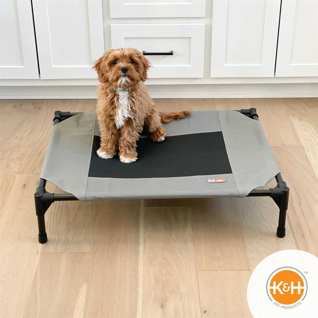 Elevated Pet Bed B425339