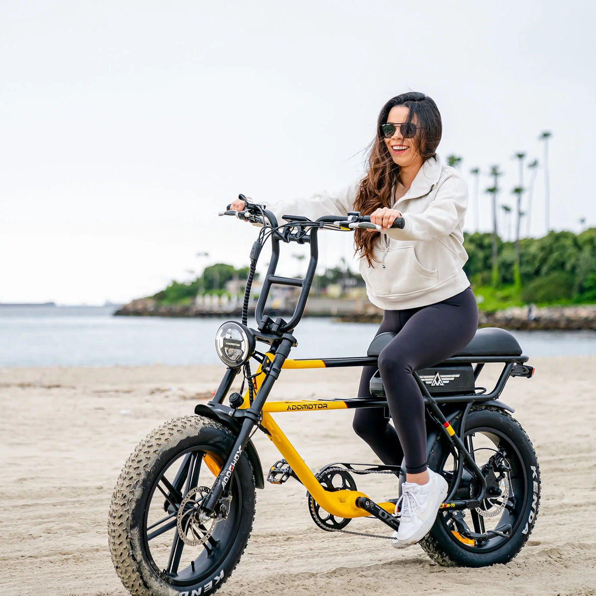 750W 20" Fat Tire Electric Bike E318442