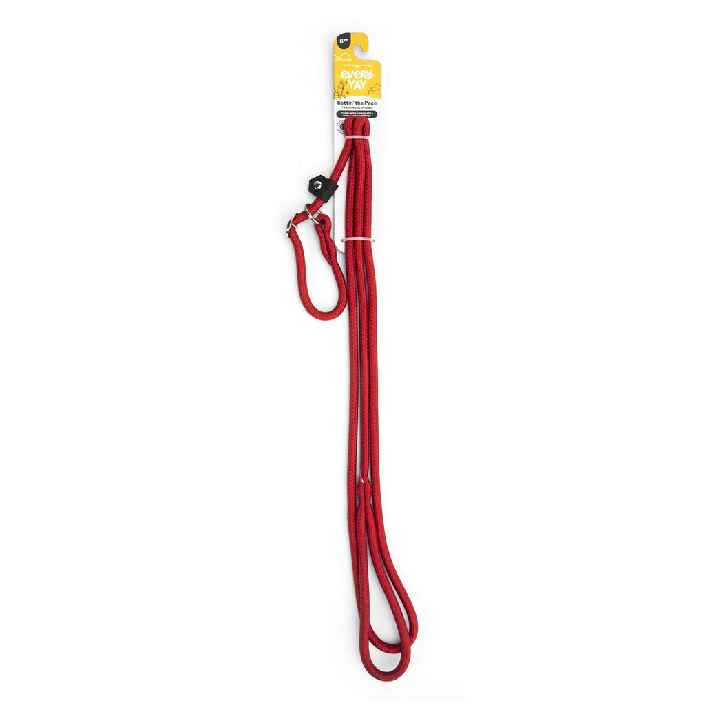 Training Rope Slip Lead for Dogs U493