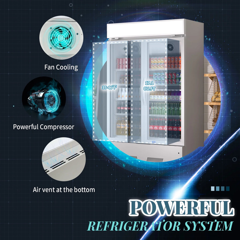 38'' Commercial Beverage Display Refrigerator with 2 Glass Doors Y2812