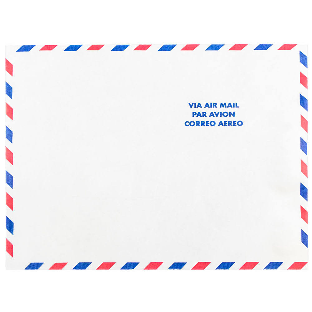 White 10 x 13 Tyvek Open End Catalog Envelopes, 250/Pack P699994