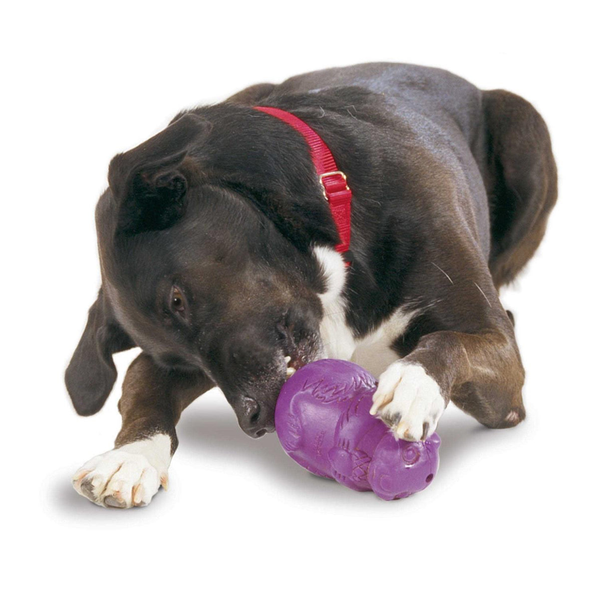Dog Toy S73082