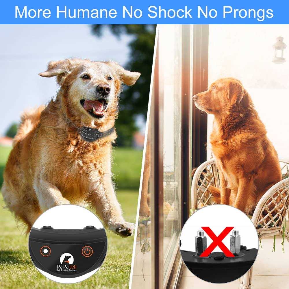 Dog Training Collar with Remote Y525466