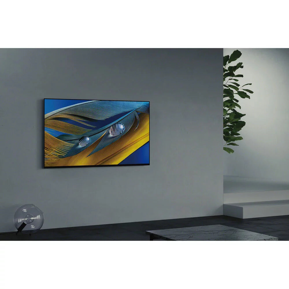 65 Inch 4K OLED Smart TV U349090