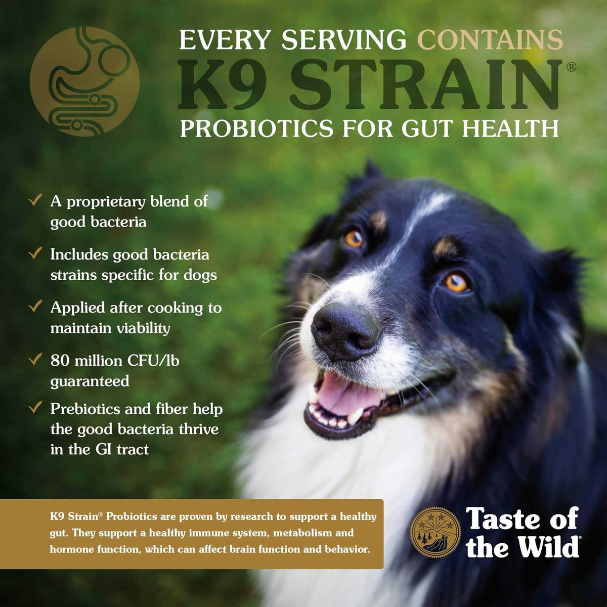 Puppy Food B479
