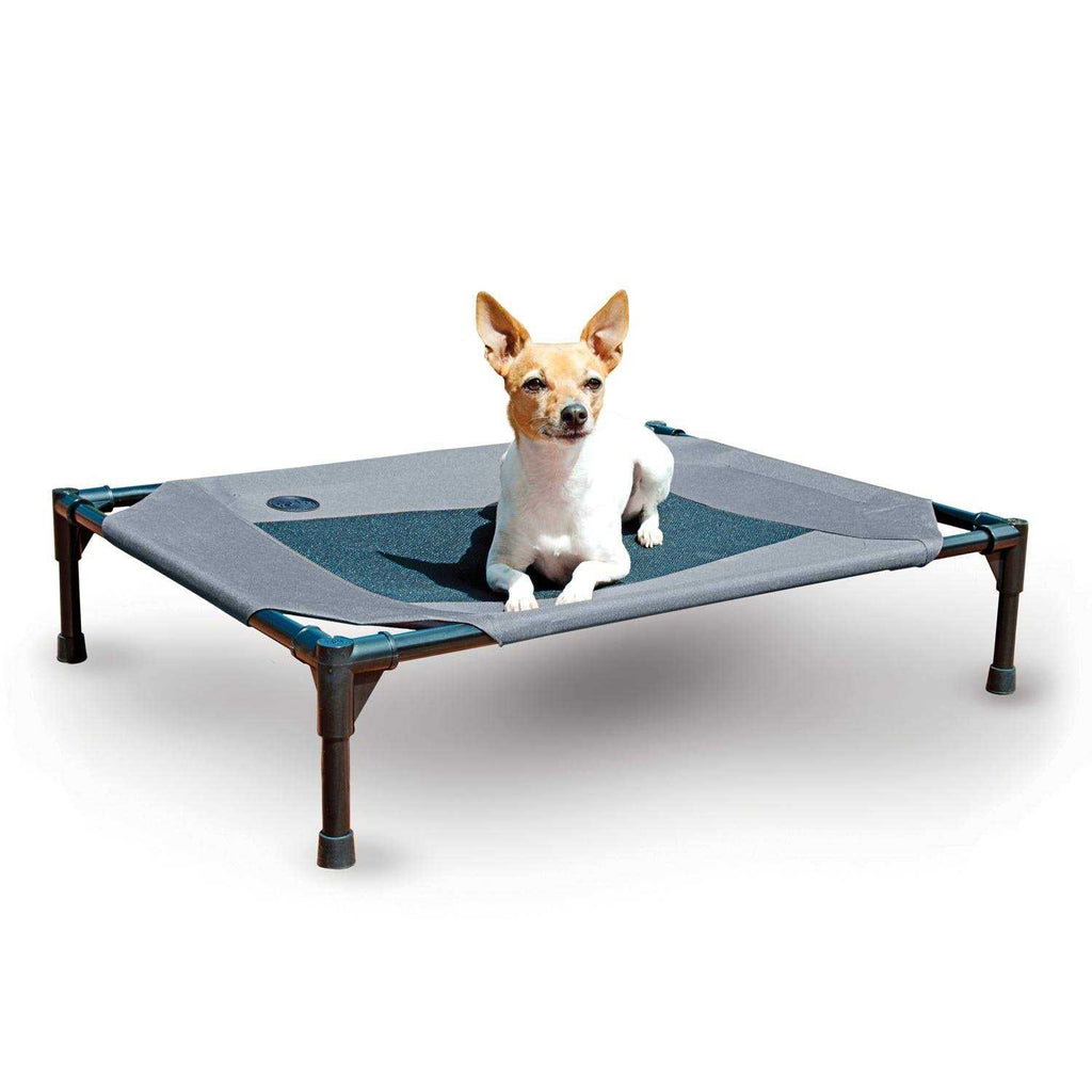 Elevated Pet Bed B425339