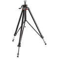 Black Camera Tripod V730149