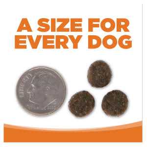 Grain Free Venison Red Lentils Dog Food V134766