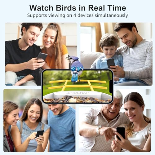 Smart Bird Feeder with Camera, 64G SD Card, Solar Panel V99915