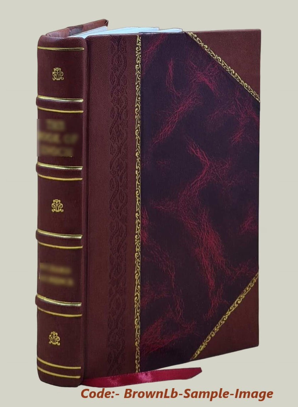Leather Bound Guide-Book for Tourists Z497