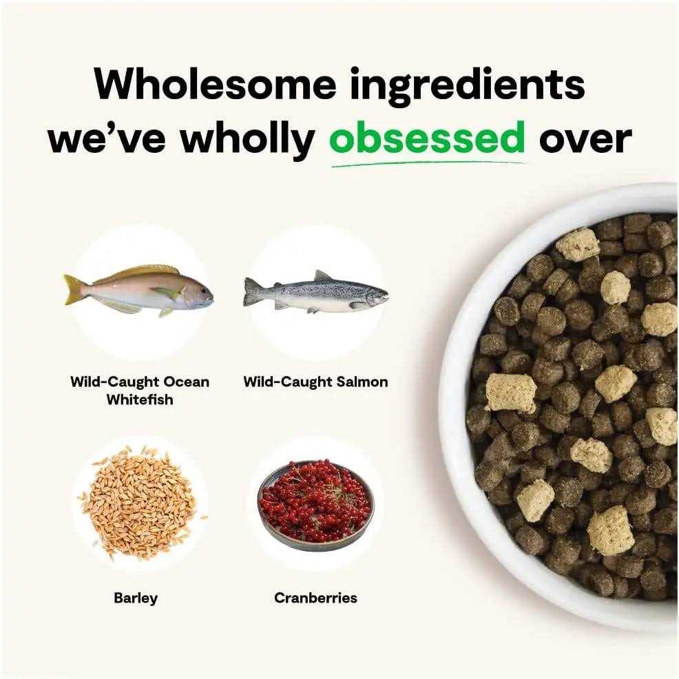 Wild Ocean Ancient Grains Dog Food Q318