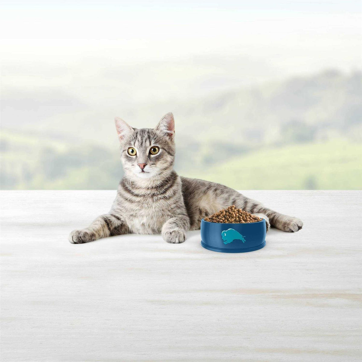 Blue Weight Control Adult Cat Dry Food Q688