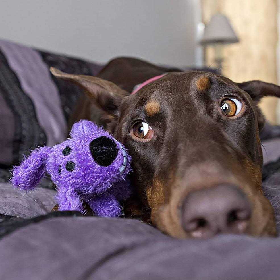 Dog Toy E923178