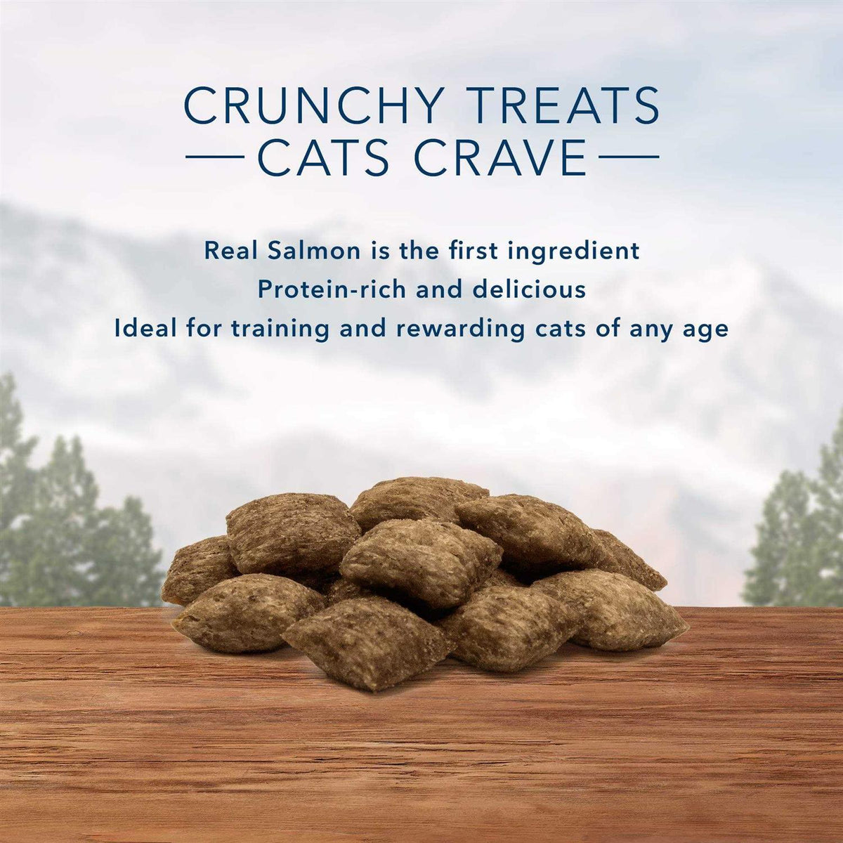 Blue Buffalo Wilderness Crunchy Cat Treats K8658