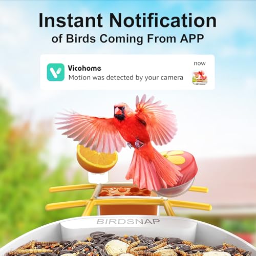 Smart Bird Feeder with Camera, 64G SD Card, Solar Panel V99915