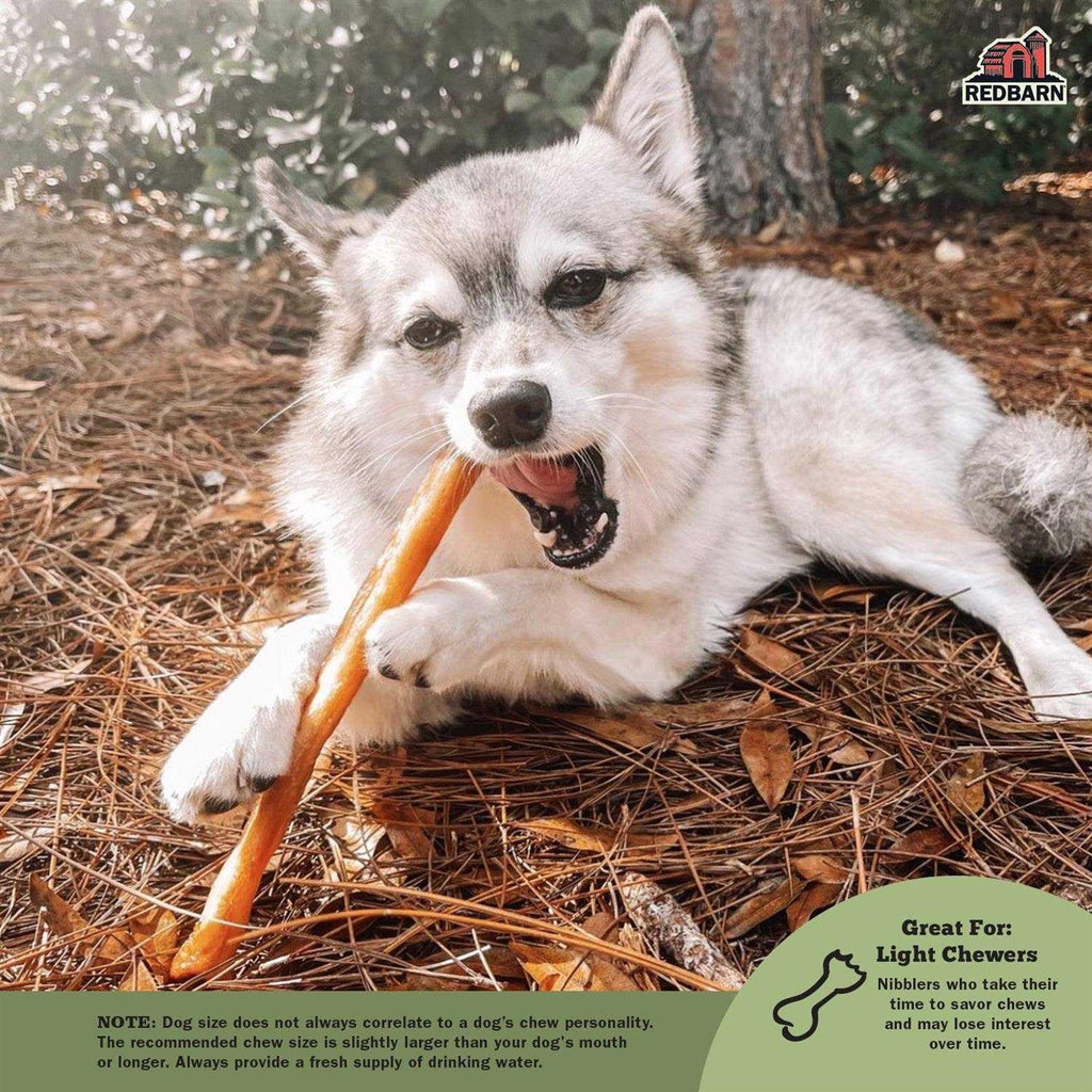 Collagen Stick Pet Supplies Z48790