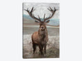 Canvas Wall Decor Prints O7069