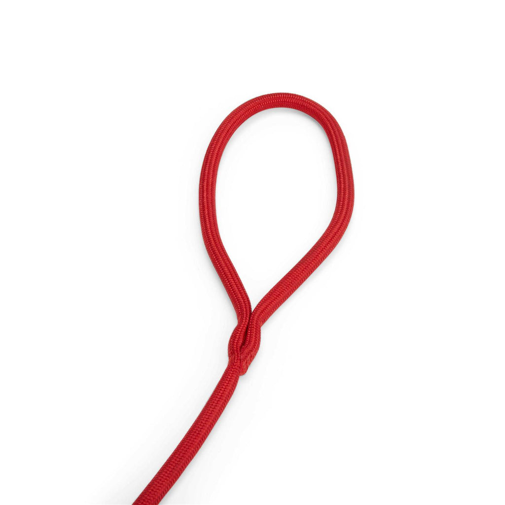Training Rope Slip Lead for Dogs U493