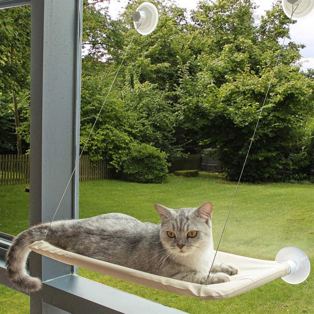Cat Window Perch Cat Window Hammock S517798