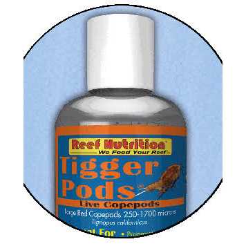 Tigger Pods M8347