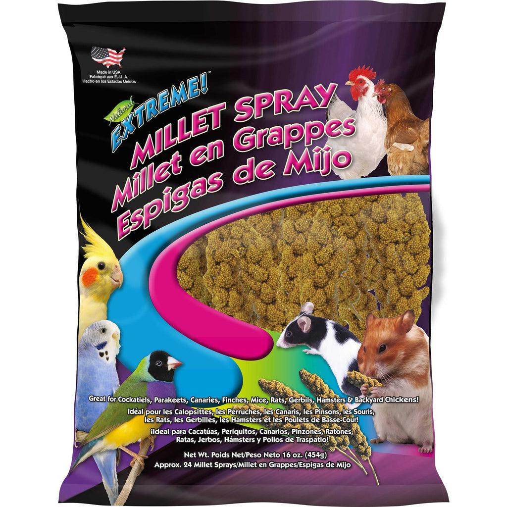 Millet Spray 16 oz I6296
