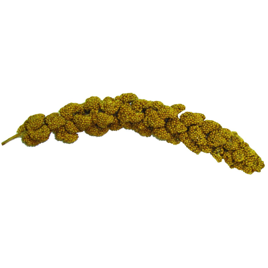 Millet Spray 16 oz I6296