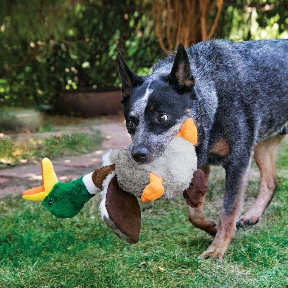 Flamingo Dog Toy U5686