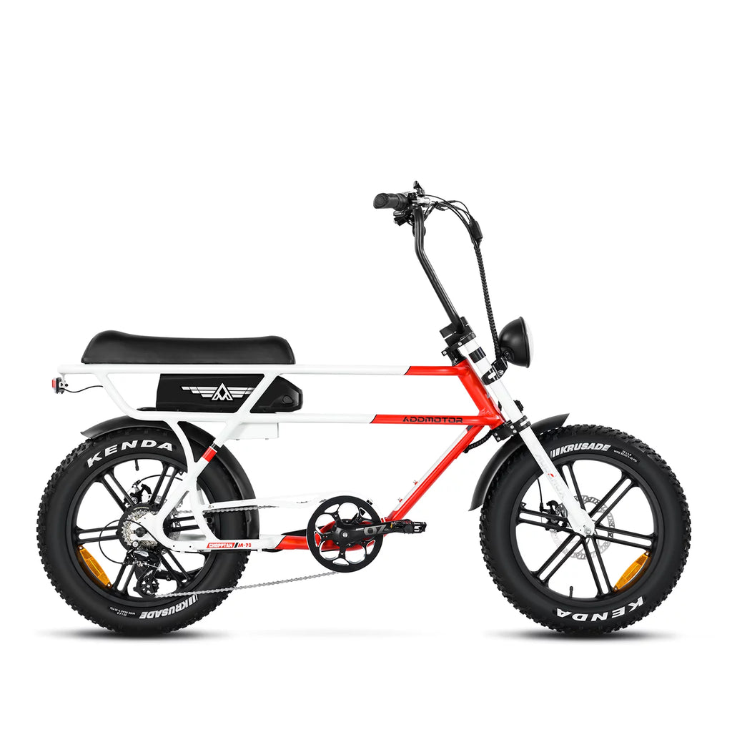 750W 20" Fat Tire Electric Bike E318442