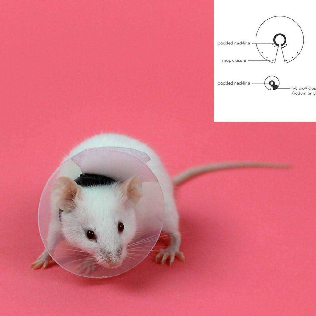 Collar Rodents Pet Supplies K521