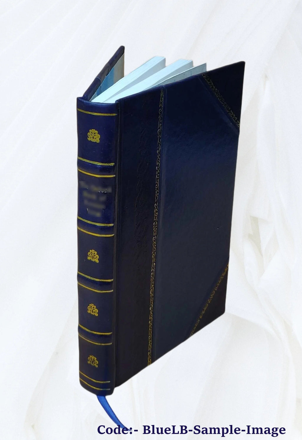 Leather Bound Guide-Book for Tourists Z497