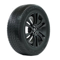 All Season 205/70R16 97T Passenger Tire F17310