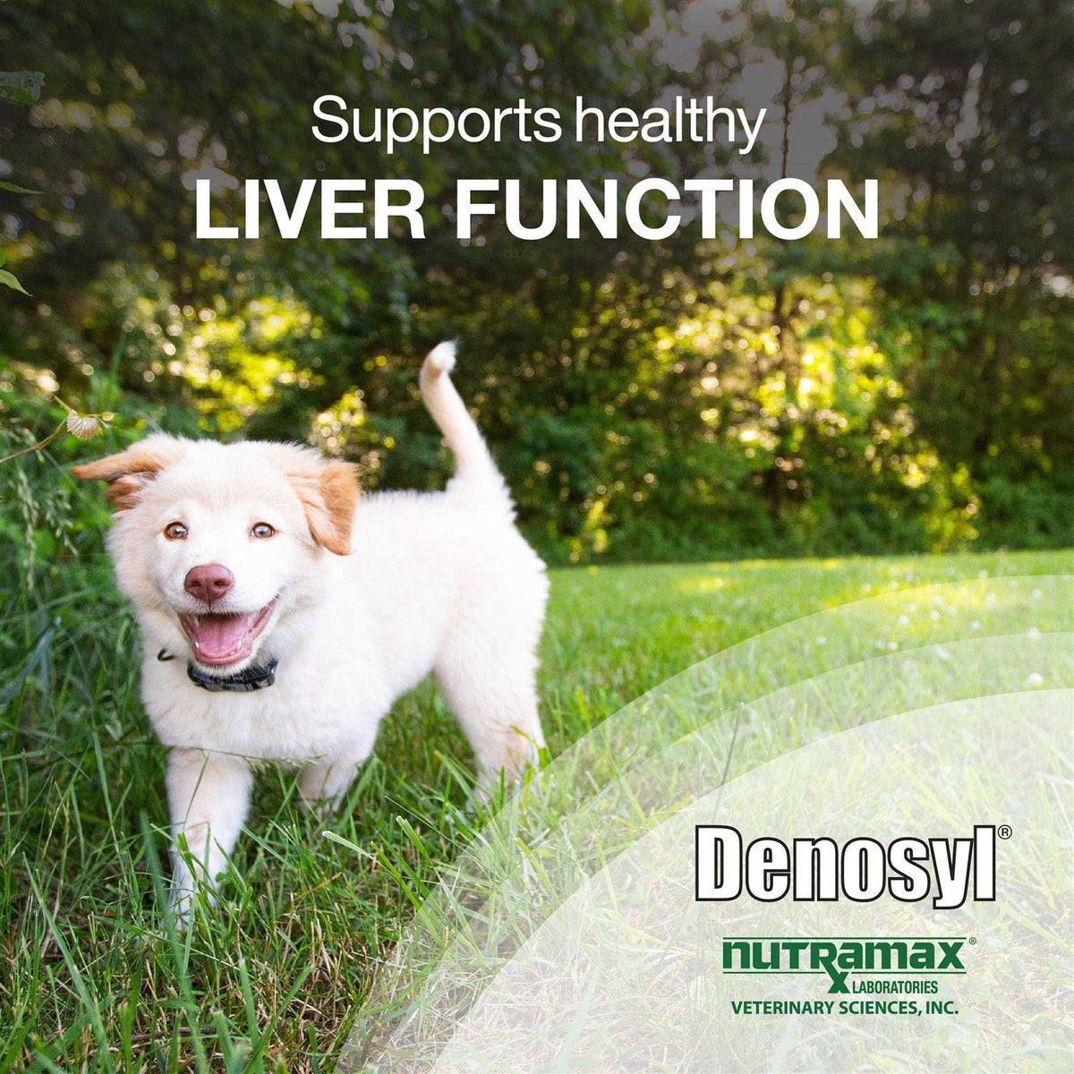 Denosyl Tablets Liver & Brain Supplement for Medium Dogs R802