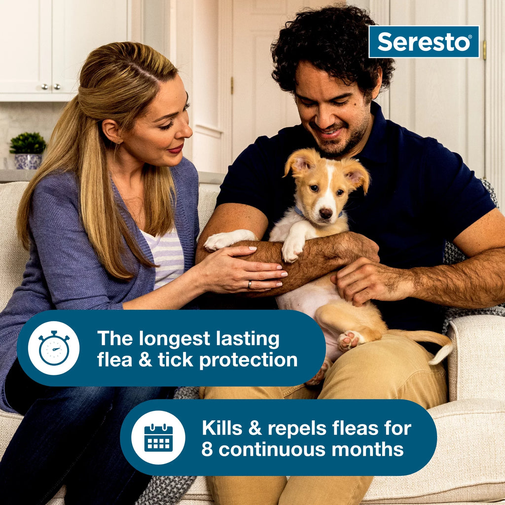 (2 pack) 8-Month Flea & Tick Prevention Collar for Large Dog J3629