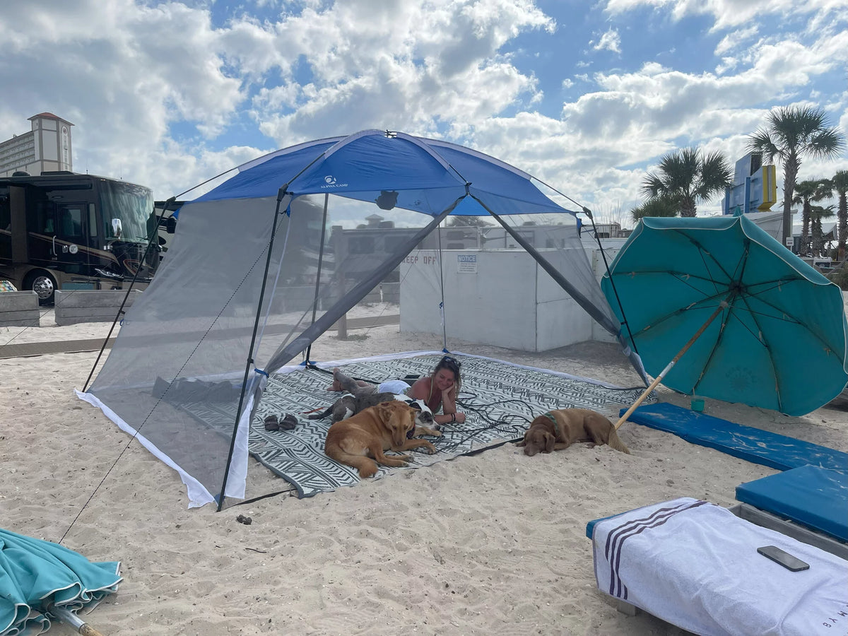 13' x 9' Blue Screen House Canopy Q6377
