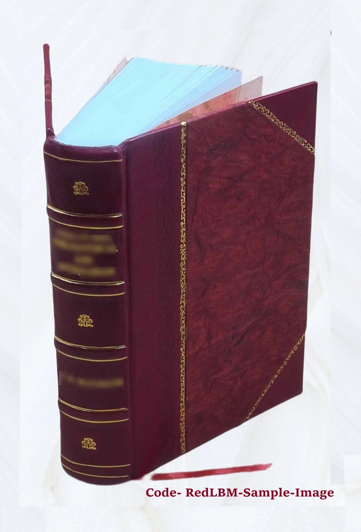 Biographical Dictionary of Contemporary Writers 1879 Leather Bound X7859