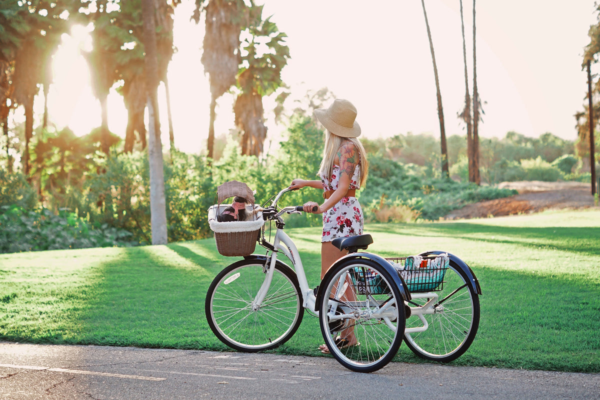 Blue Folding Adult Trike H132